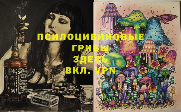мет Вяземский