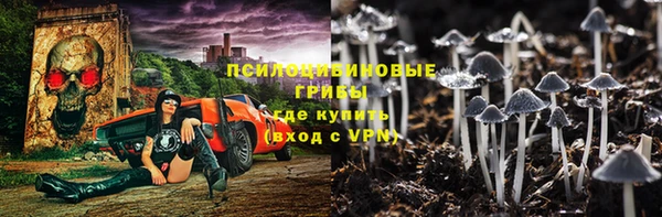 mdpv Волоколамск