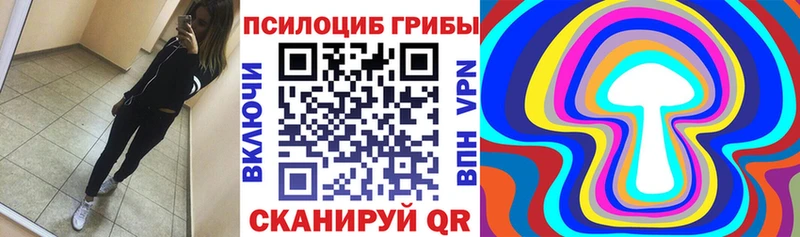 Галлюциногенные грибы Psilocybine cubensis  Верхний Тагил 